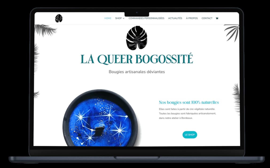 Aperçu du site La Queer Bogossité